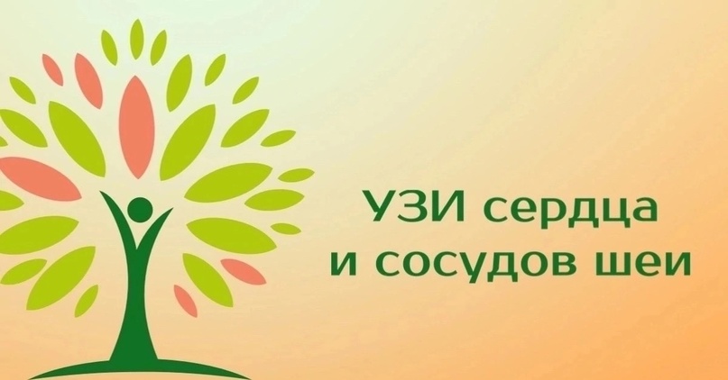 Выгодное предложение на комплекс УЗИ-исследования сердца и сосудов шеи.