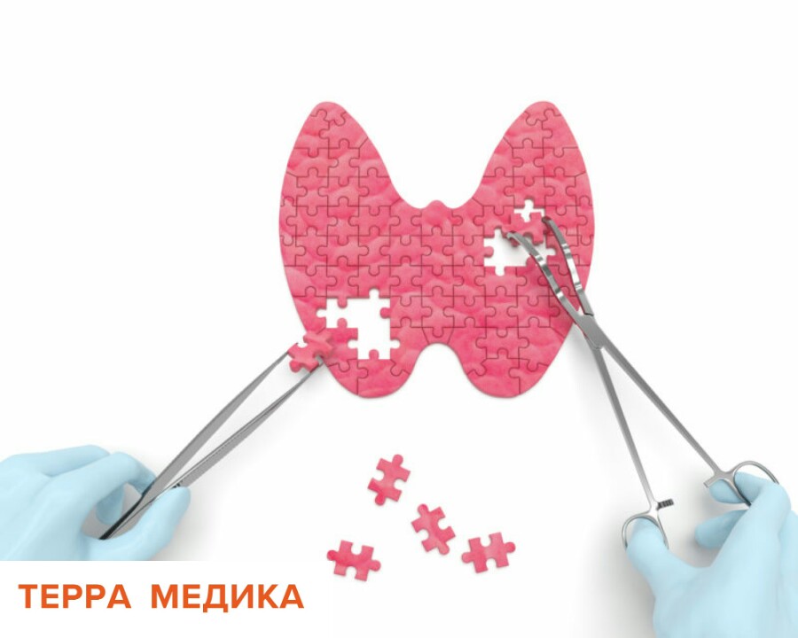 Интересные факты о щитовидной железе