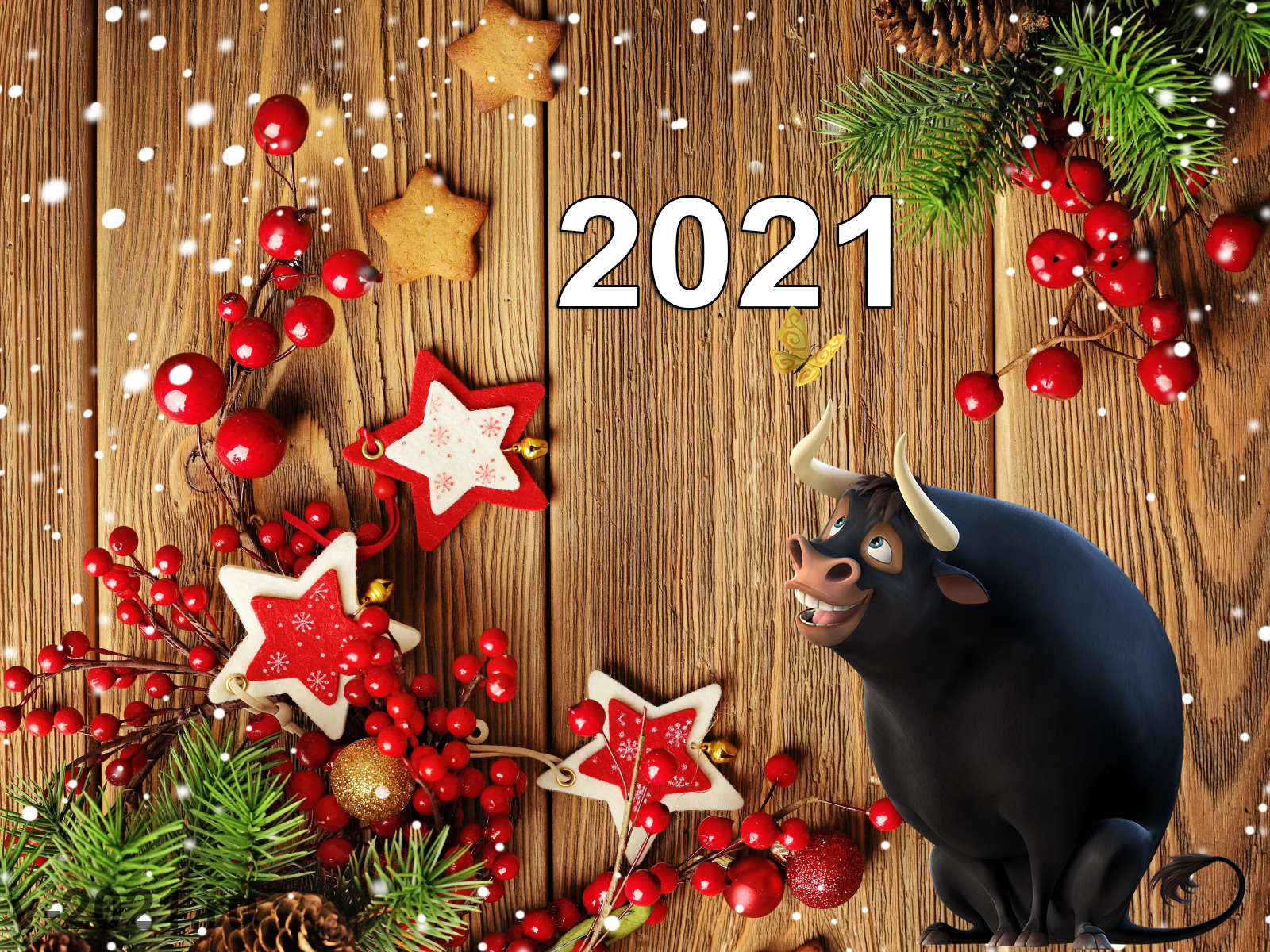 С Новым 2021 годом!