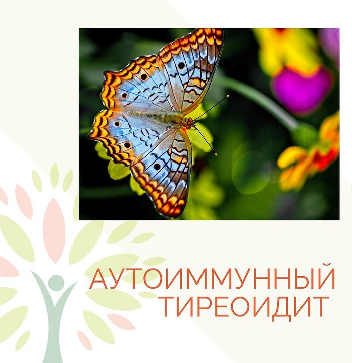 Аутоиммунный тиреоидит щитовидной железы