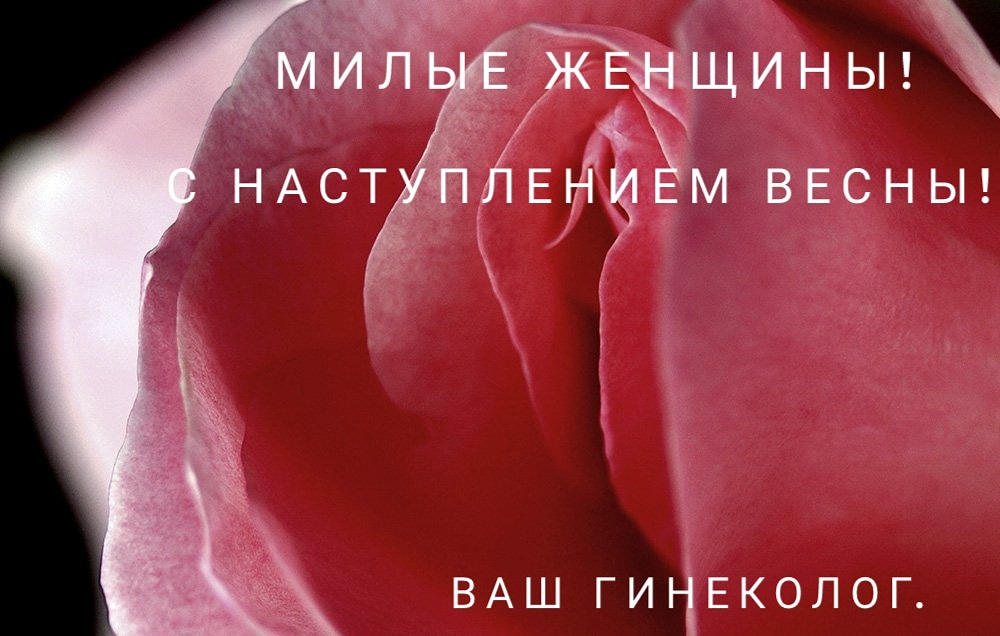 Поздравляем с наступающим весенним праздником – 8 марта!